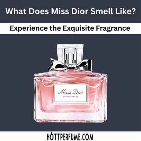 what does dior perfume smell like|boots perfume miss dior original.